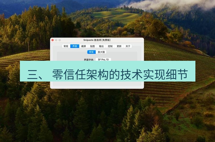 snipaste 三、 零信任架构的技术实现细节