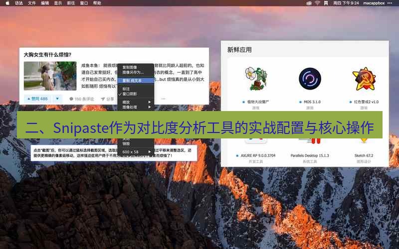 snipaste 二、Snipaste作为对比度分析工具的实战配置与核心操作