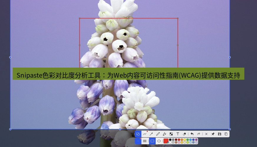 snipaste Snipaste色彩对比度分析工具：为Web内容可访问性指南(WCAG)提供数据支持