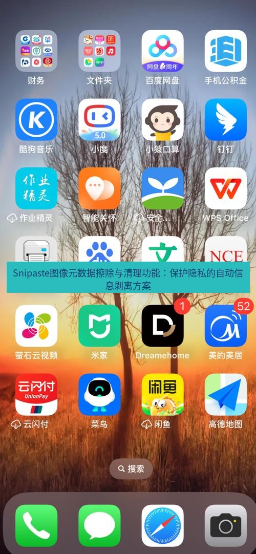 截图软件 Snipaste图像元数据擦除与清理功能：保护隐私的自动信息剥离方案
