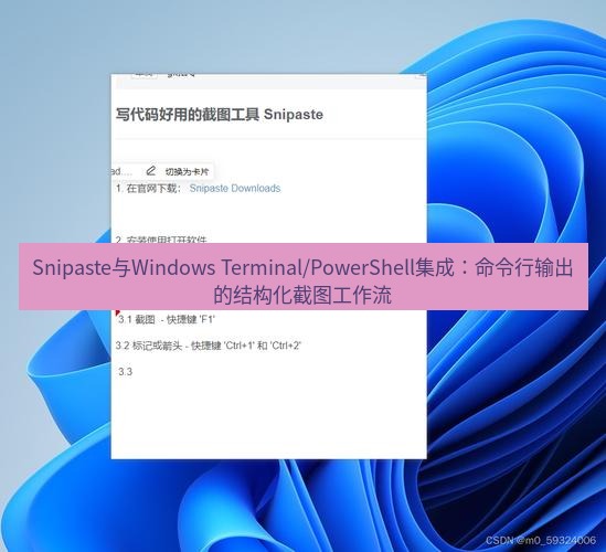 snipaste Snipaste与Windows Terminal/PowerShell集成：命令行输出的结构化截图工作流
