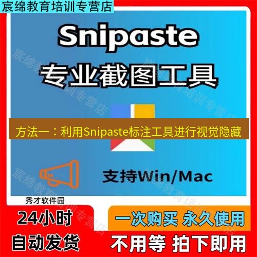 snipaste 方法一：利用Snipaste标注工具进行视觉隐藏