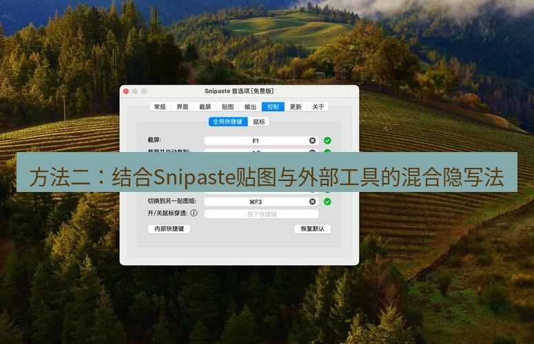 snipaste 方法二：结合Snipaste贴图与外部工具的混合隐写法