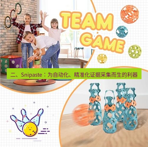 snipaste 二、Snipaste：为自动化、精准化证据采集而生的利器