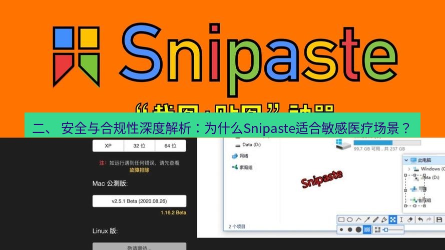 snipaste 二、 安全与合规性深度解析：为什么Snipaste适合敏感医疗场景？