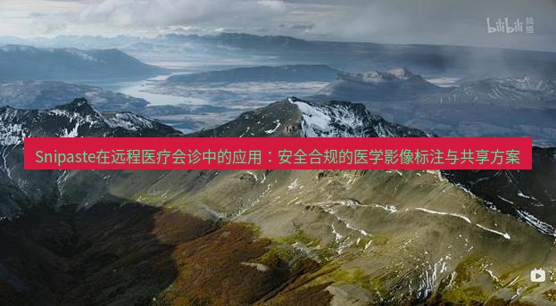 snipaste Snipaste在远程医疗会诊中的应用：安全合规的医学影像标注与共享方案