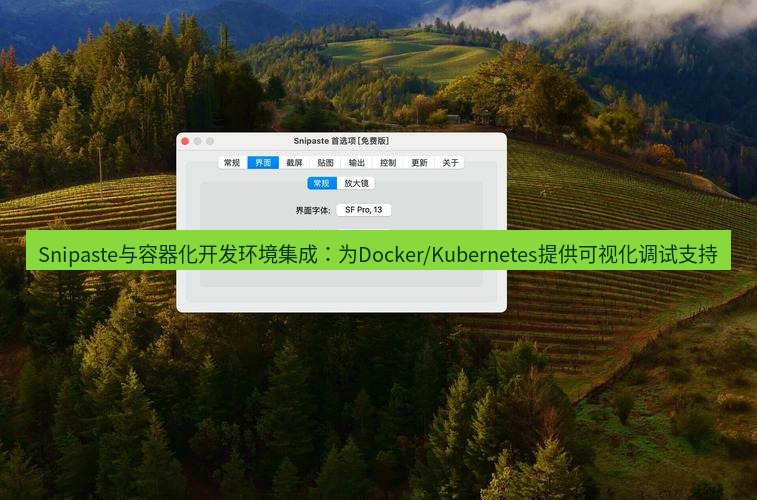 snipaste Snipaste与容器化开发环境集成：为Docker/Kubernetes提供可视化调试支持