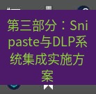 snipaste 第三部分：Snipaste与DLP系统集成实施方案