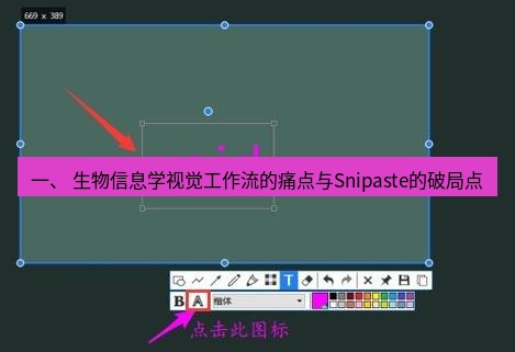 snipaste 一、 生物信息学视觉工作流的痛点与Snipaste的破局点