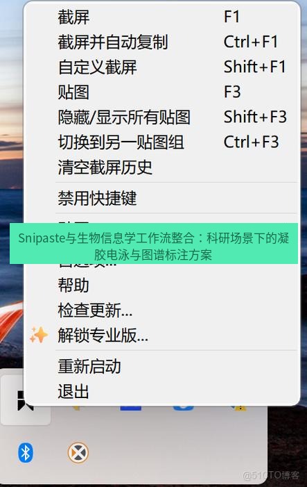 snipaste Snipaste与生物信息学工作流整合：科研场景下的凝胶电泳与图谱标注方案