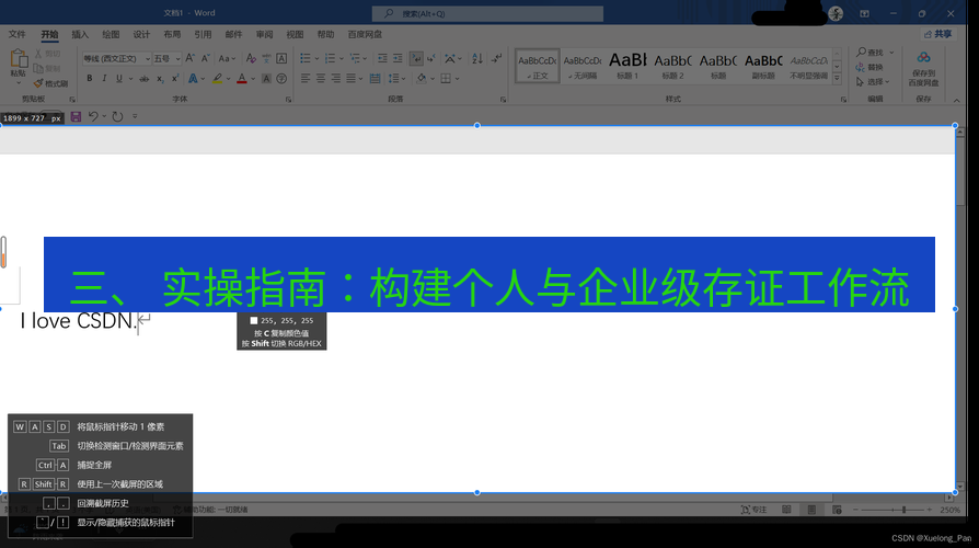 snipaste 三、 实操指南：构建个人与企业级存证工作流