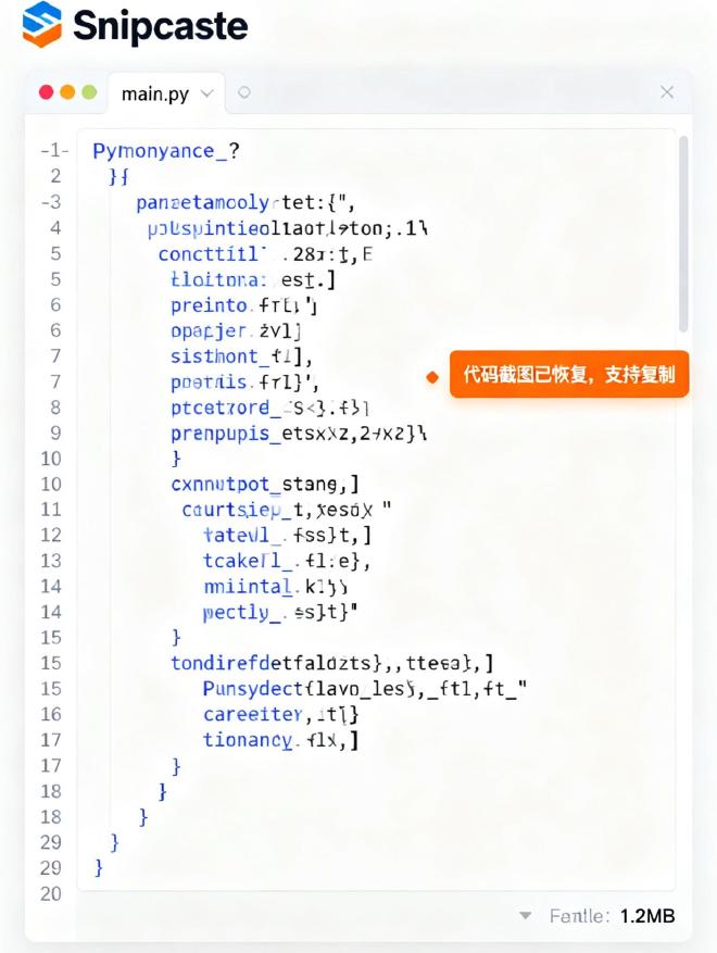 Snipaste代码截图恢复案例